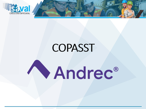 Funciones COPASST